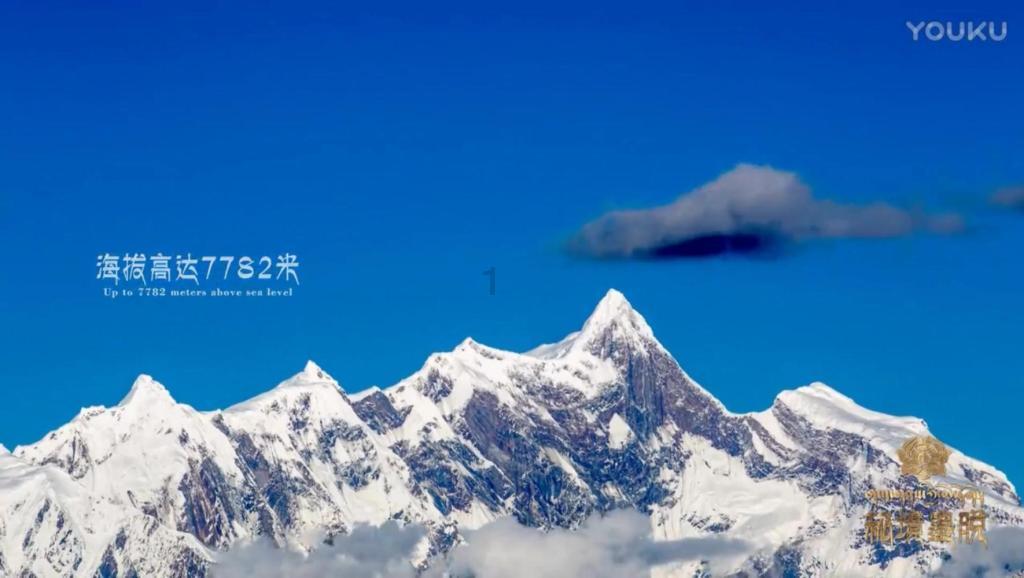 救援爱图画的男孩