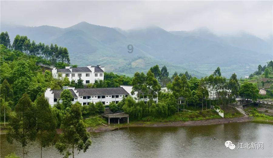 理解CDP碳披露及企业可持续发展评分等级标准