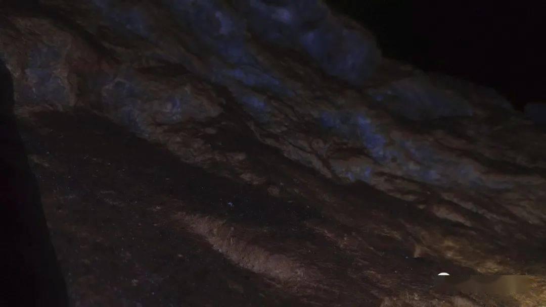 田曦薇出道前后照对比,底子确实很优越,难怪王安宇会疯狂安利她