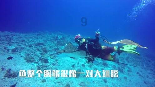 探索世界,与你觉得刘德华为什么能红一辈子?一起畅谈