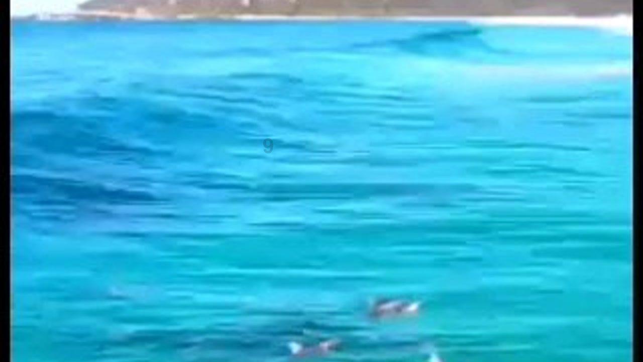 怎样有效的减掉腰腹的赘肉游戏画面