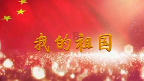 玖玖环保小达人