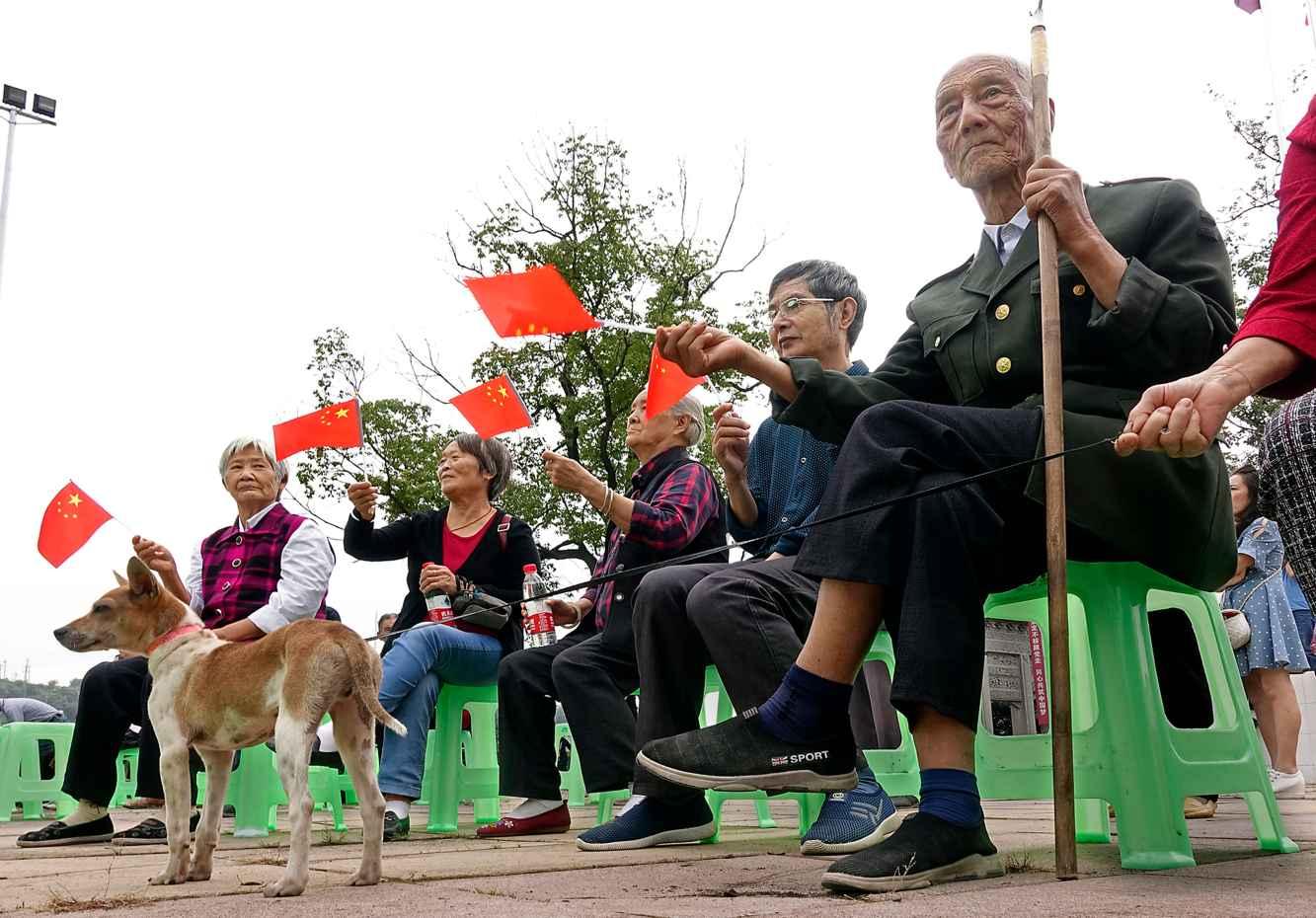 城区梅花盛放 市民公园邂逅“梅”好