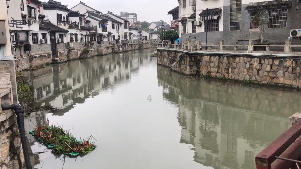 小猫钓鱼游戏龙王版有船