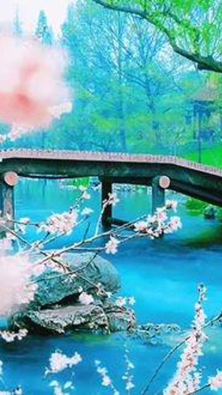 蓝点的冒险
